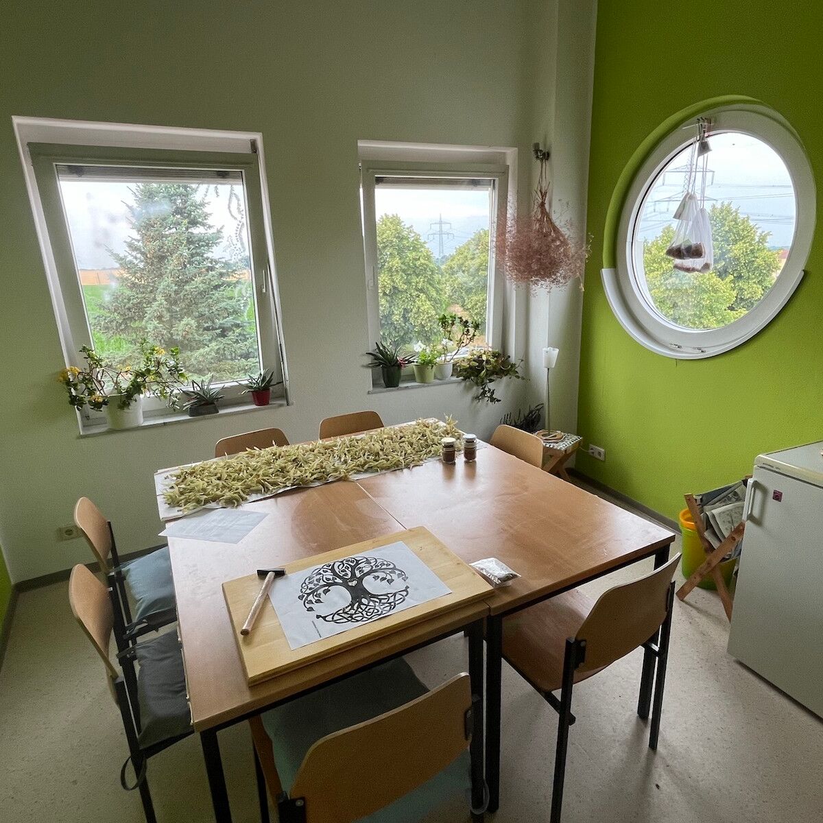 Auf einem kleinem Tisch wird was mit Holzgebaut mit einem Hammer und auf den weißen Fensternbänken stehen viele Pflanzen.