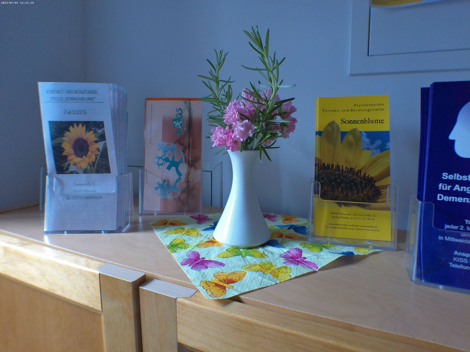 Auf einem Schrank steht eine Vase mit Blumen drin daneben stehen Prospektständer wo sich Flyer beinhalten.