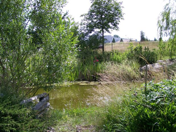 Ein kleiner Garten mit einem Teich.