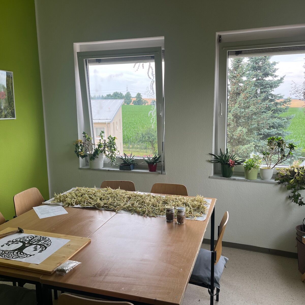 Auf einem kleinem Tisch wird was mit Holzgebaut, und auf den weißen Fensternbänken stehen viele Pflanzen.