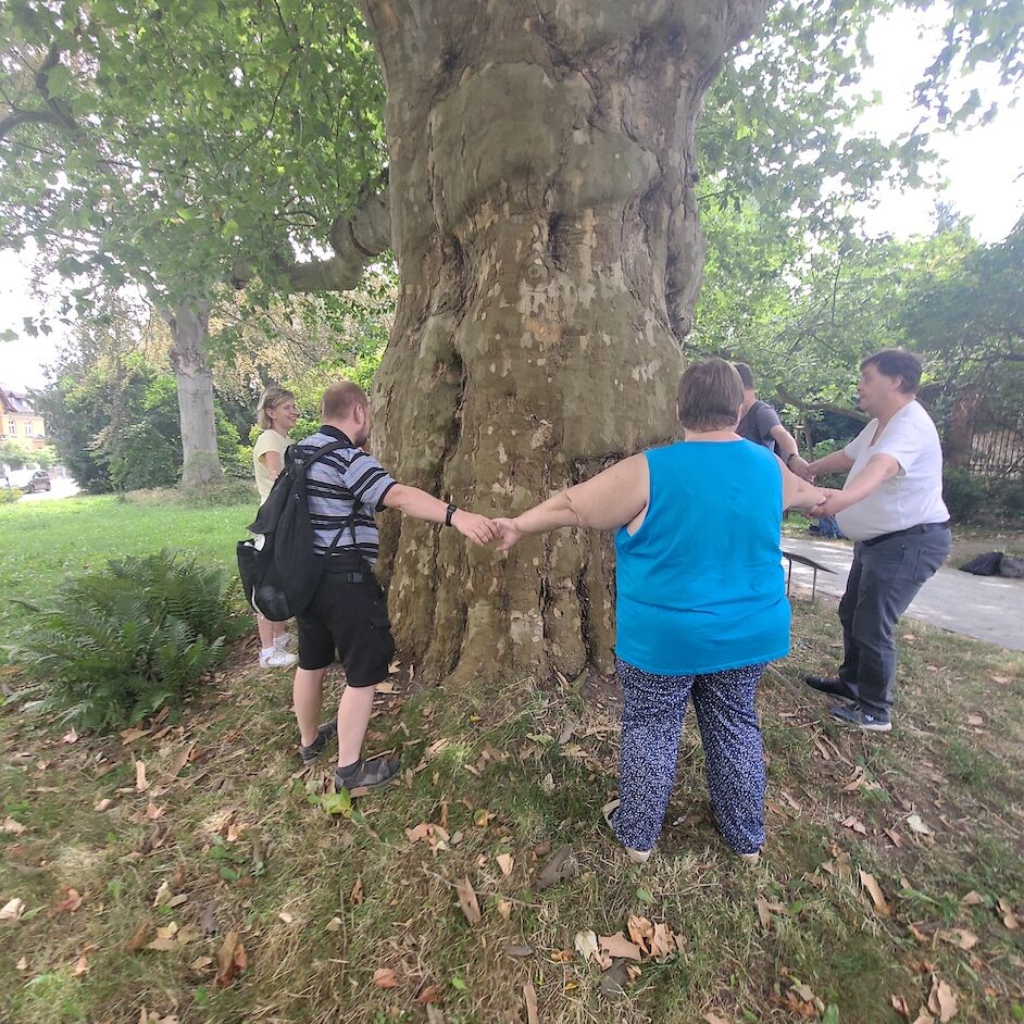 Einen Kreis wurde von Menschen gebildet und diesen um einen Baum. Dabei halten sie ihre Hände ihren Nachbarn fest.
